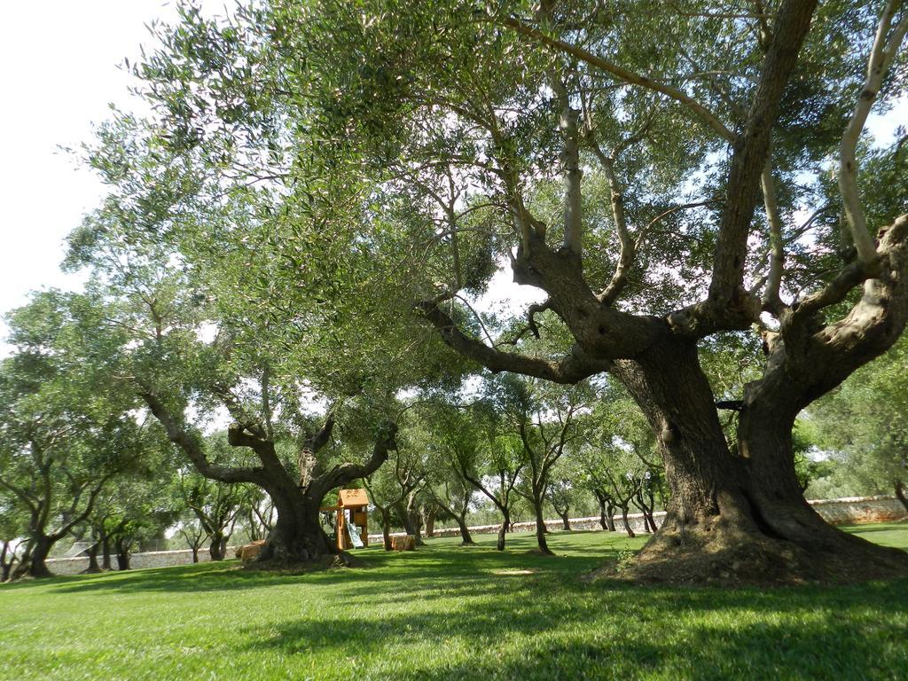 Гостевой дом I Trulli Del Nonno Michele Альберобелло Экстерьер фото