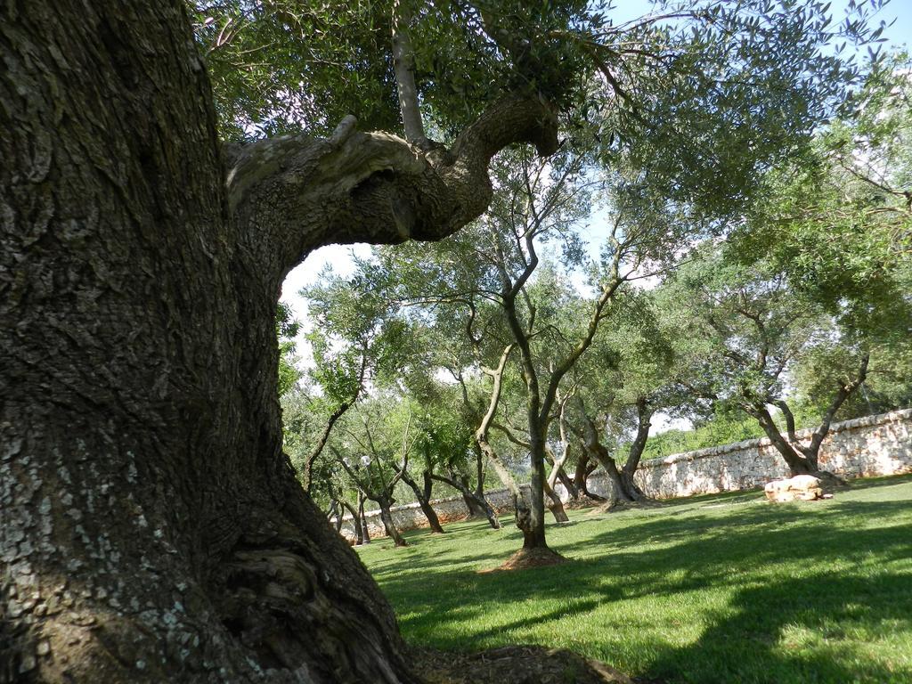 Гостевой дом I Trulli Del Nonno Michele Альберобелло Экстерьер фото